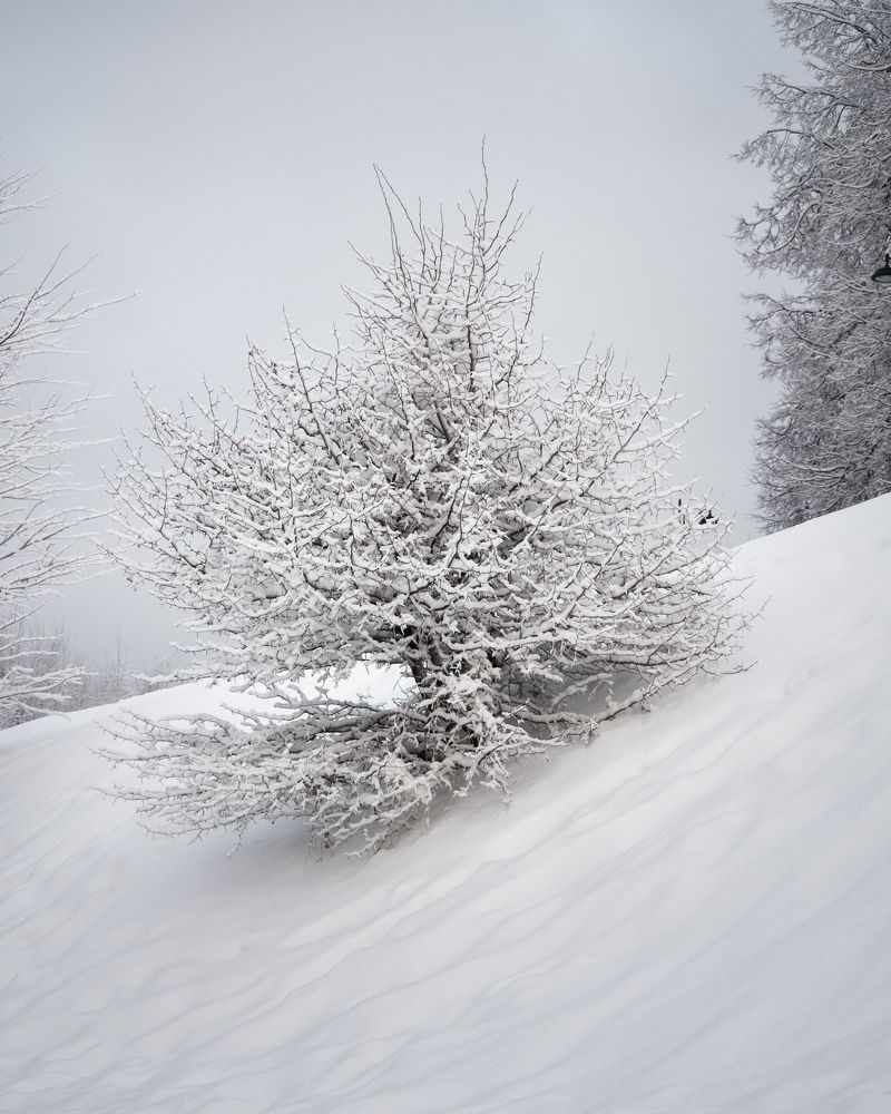 Photograph by Ярослав Изотов