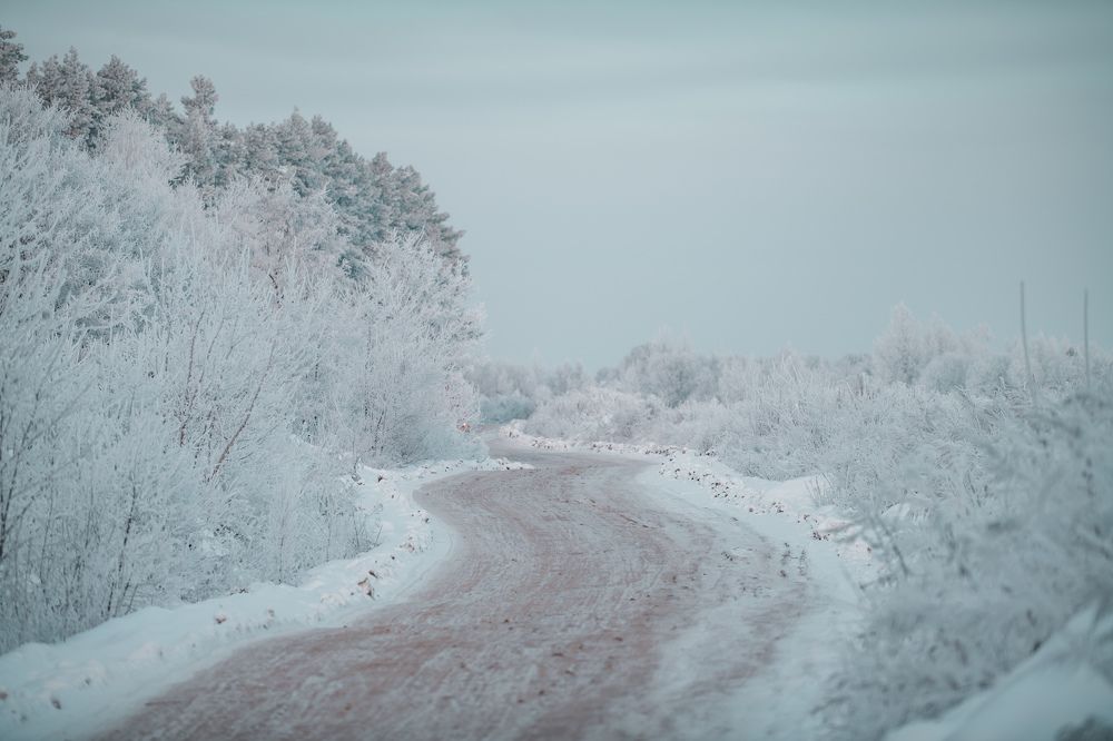 Photograph by Михаил