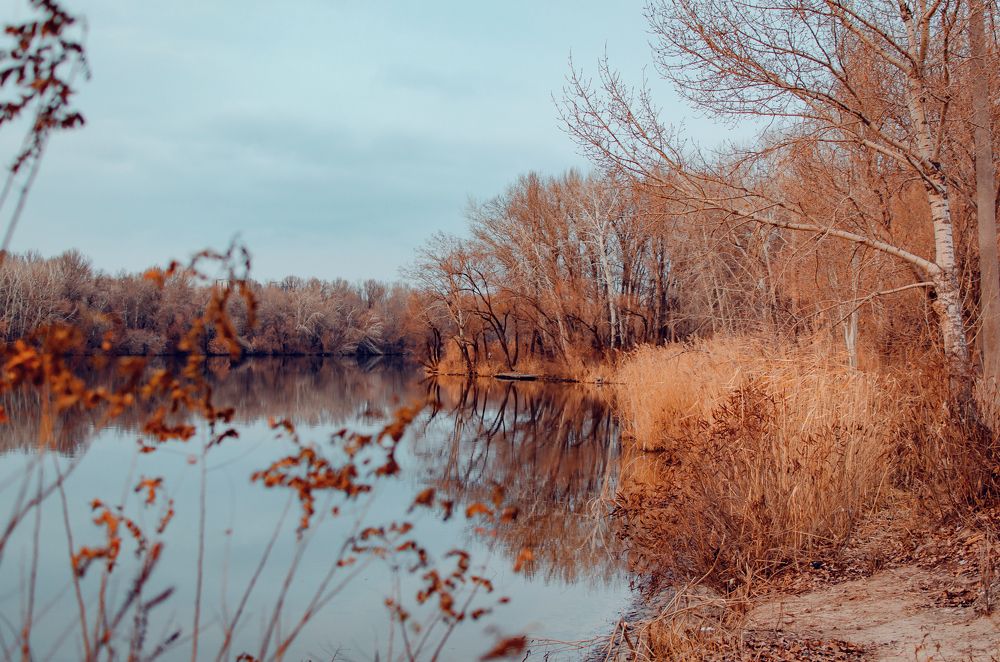 Photograph by Алиса Володченкова