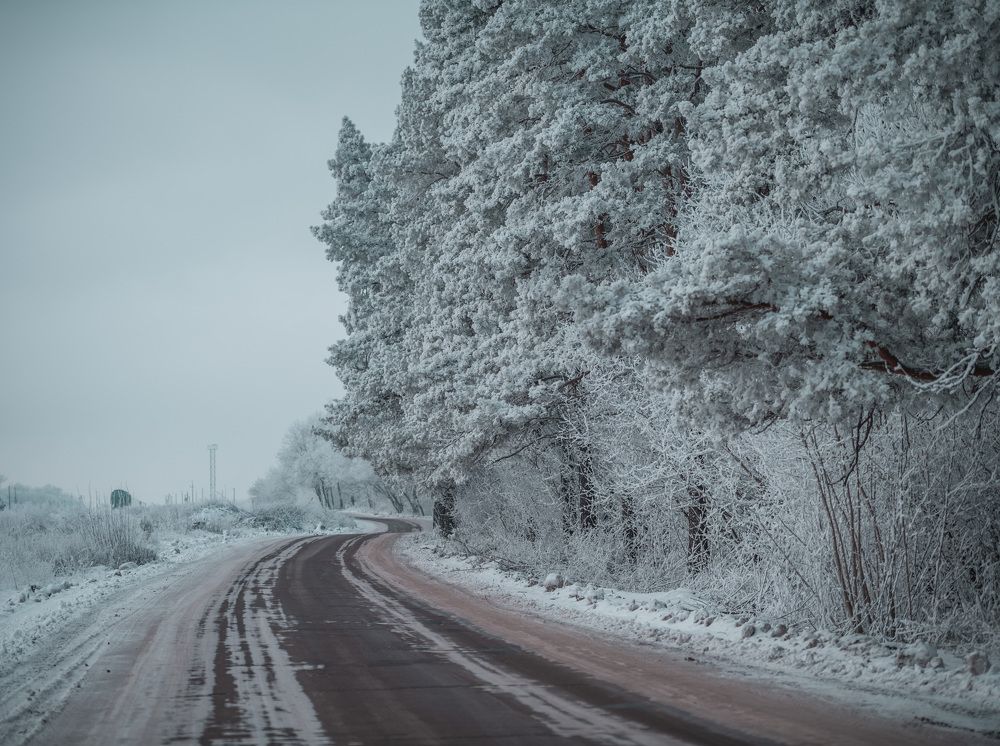 Photograph by Михаил