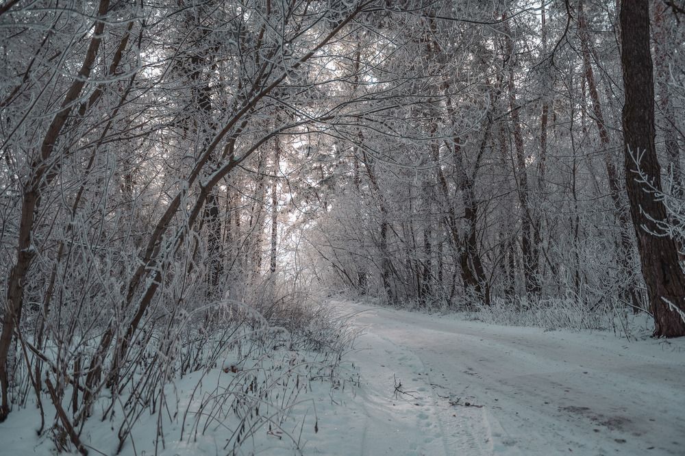 Photograph by Михаил