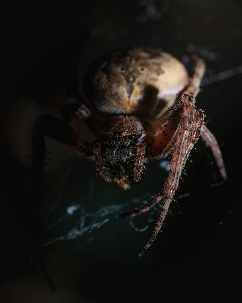 Photograph by Ислам Мирсаитов