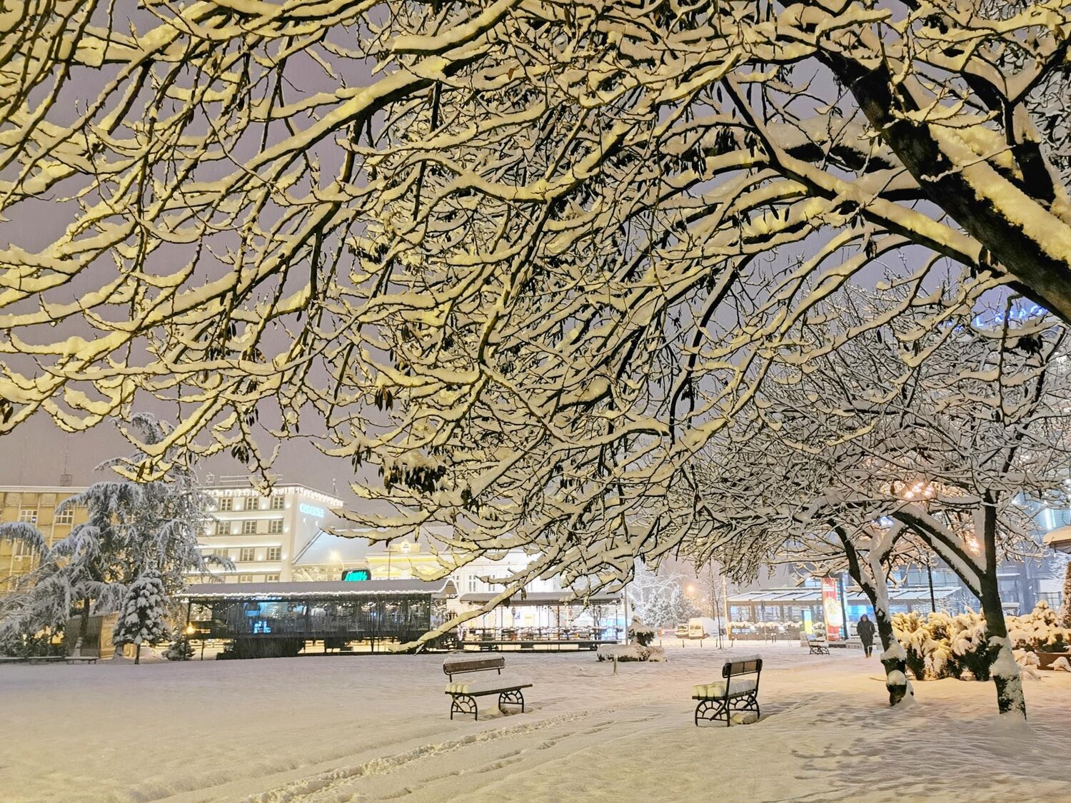 Snow in my city