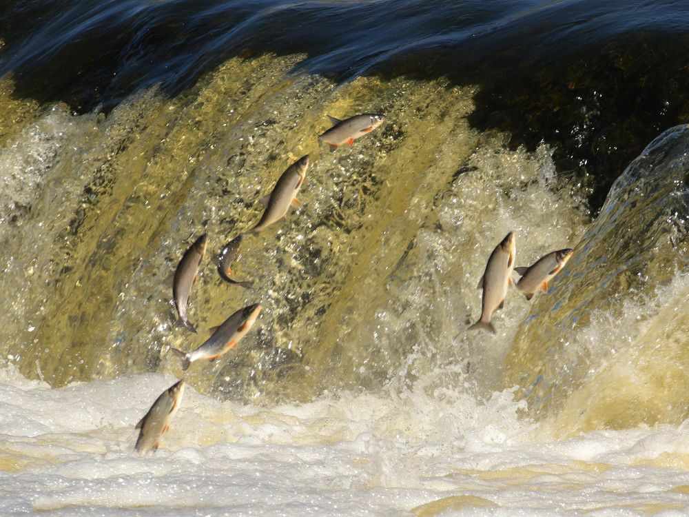 Photograph by Ирина Волкова