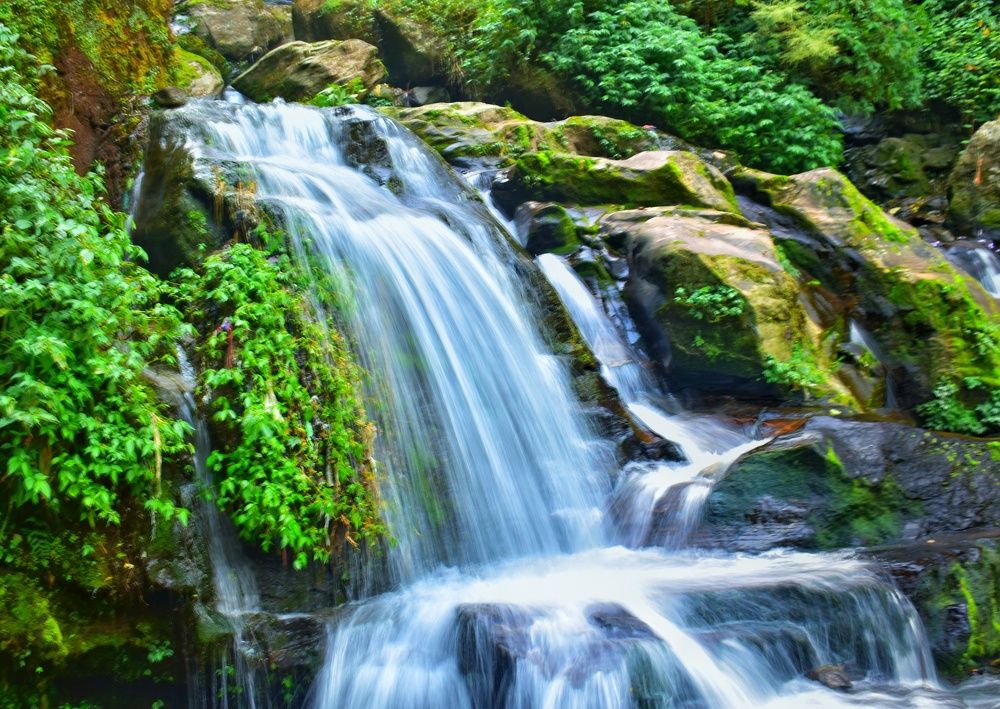 Photograph by SAIKAT PAL