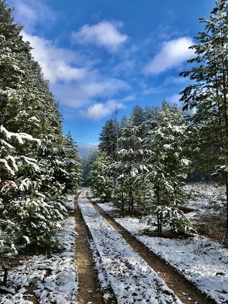 Photograph by Шестакова Наталья