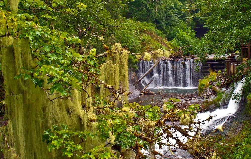 Photograph by Игорь Селин