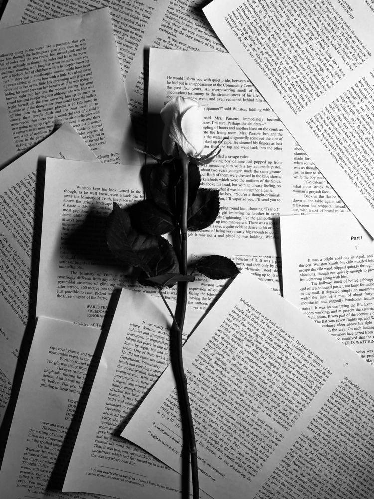 Photograph by Елена Миназова