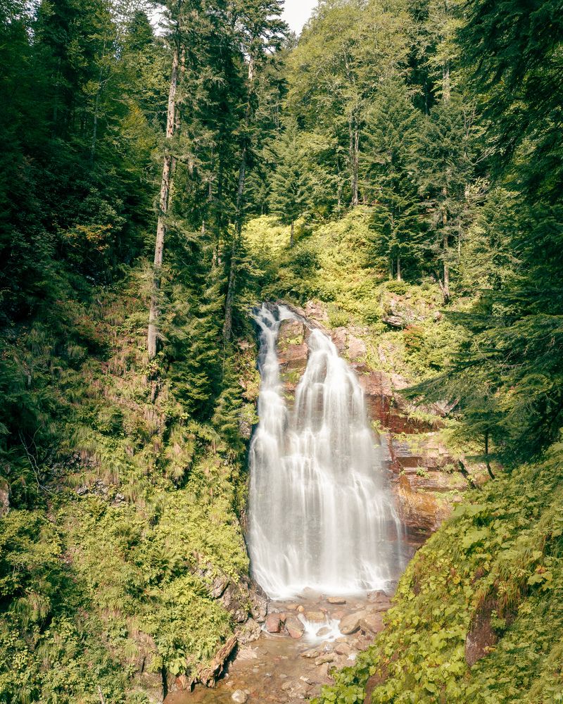 Photograph by Ярослав Изотов