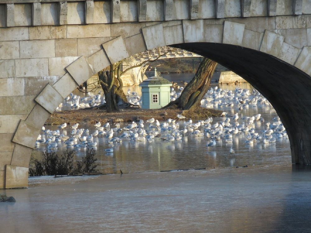 Photograph by Валерия