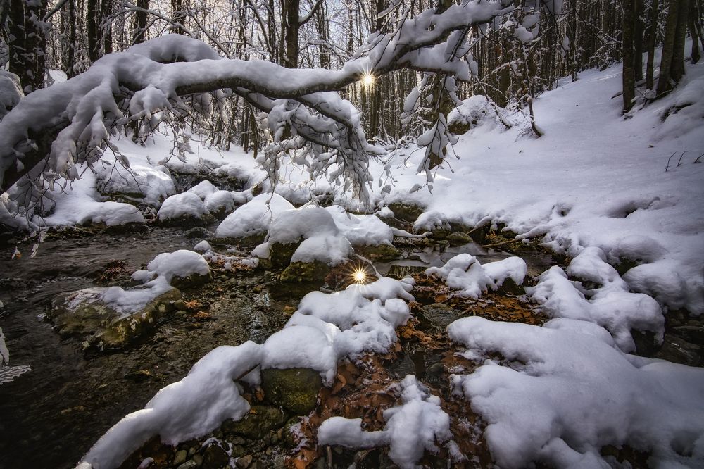 Photograph by Dino Sirica