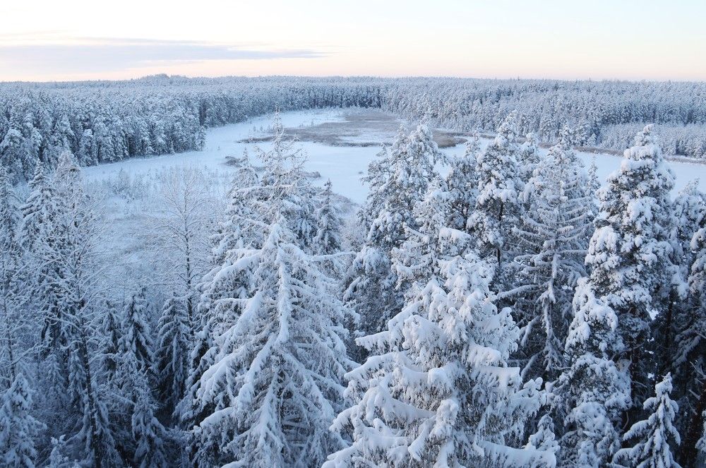 Photograph by Ирина Волкова