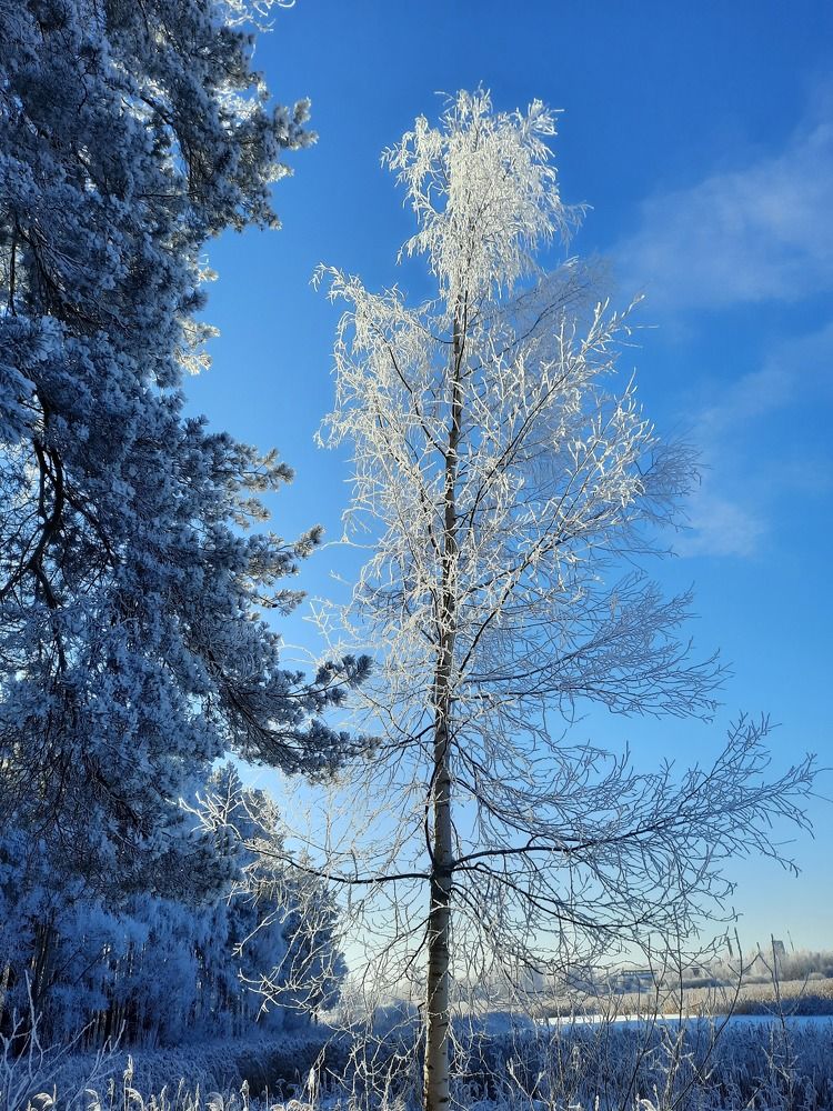 Photograph by Надежда Тузова