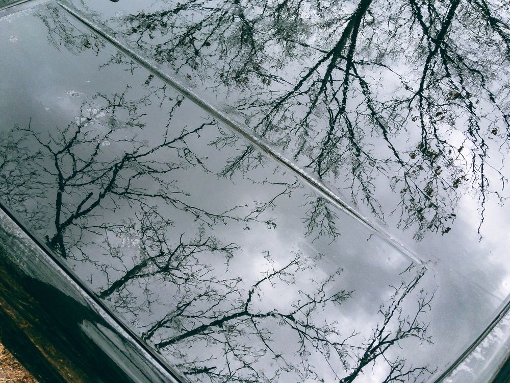 Photograph by Виталий Шкадинов