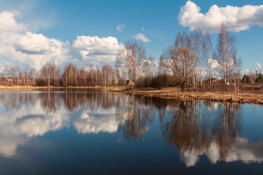 Photograph by Елена Потемина