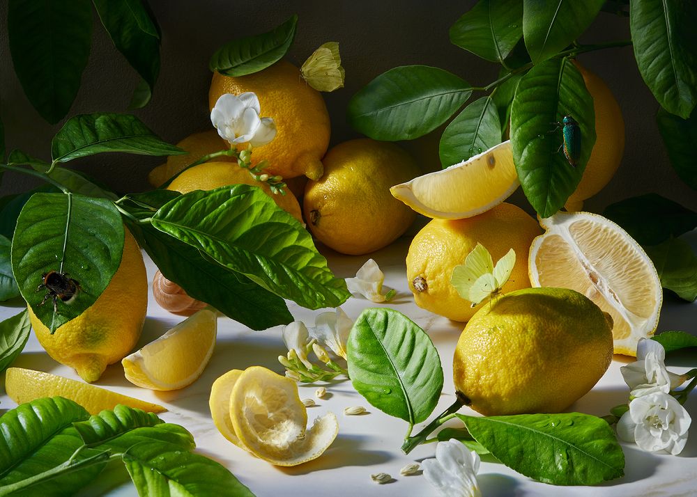 Солнечные лимоны