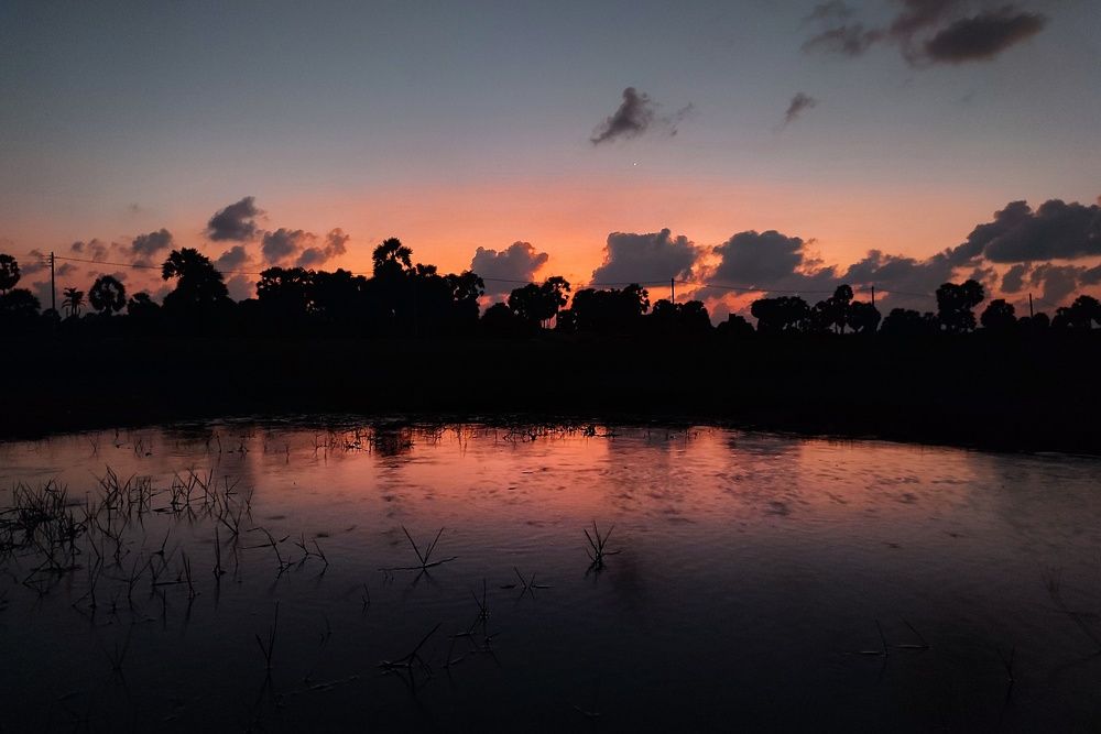 Photograph by Buddhika Dinuranga