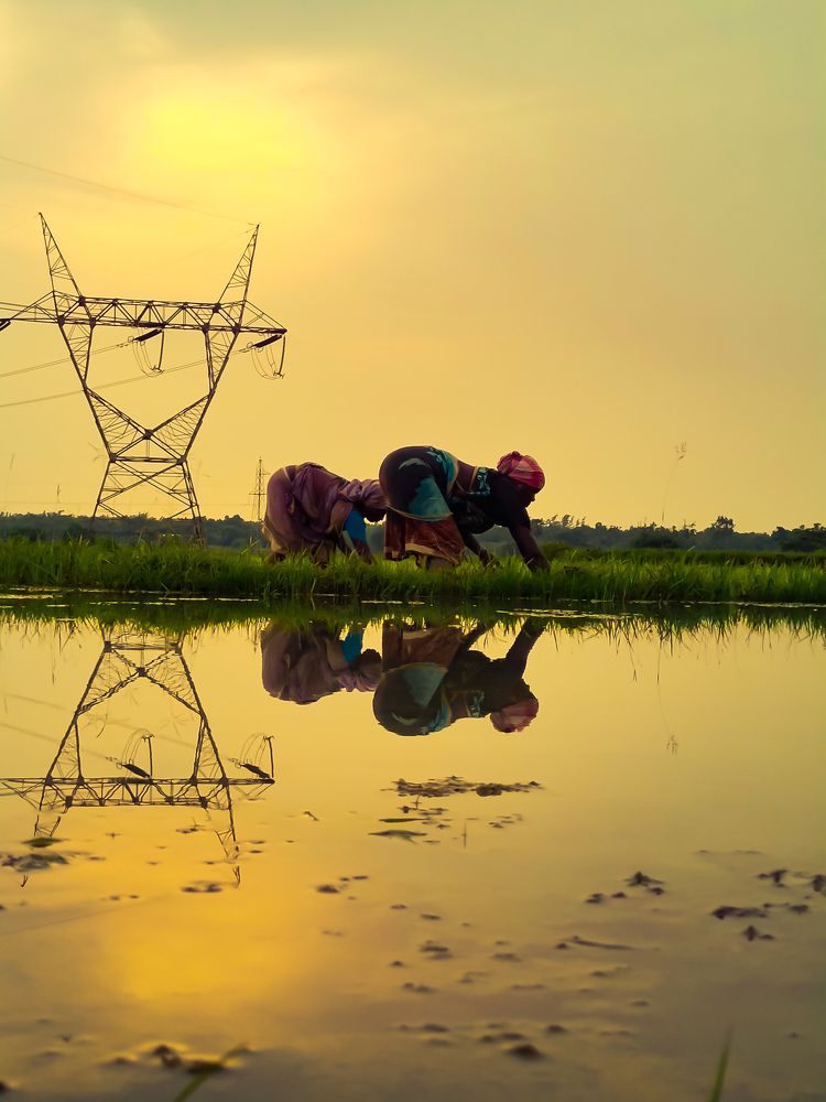 Photograph by Pavel Nath