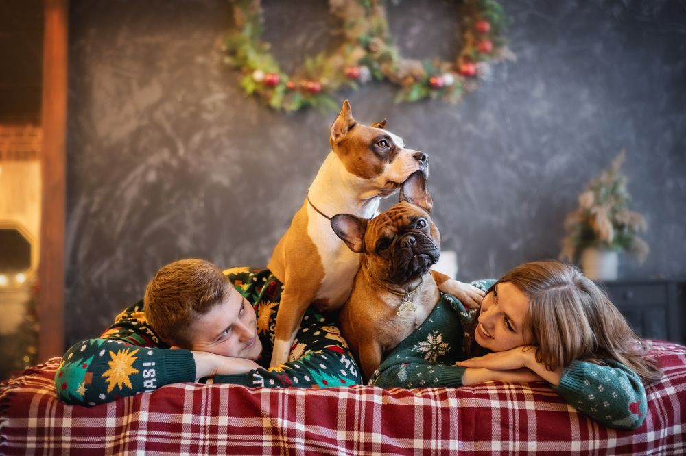 Photograph by Анастасия Осипова