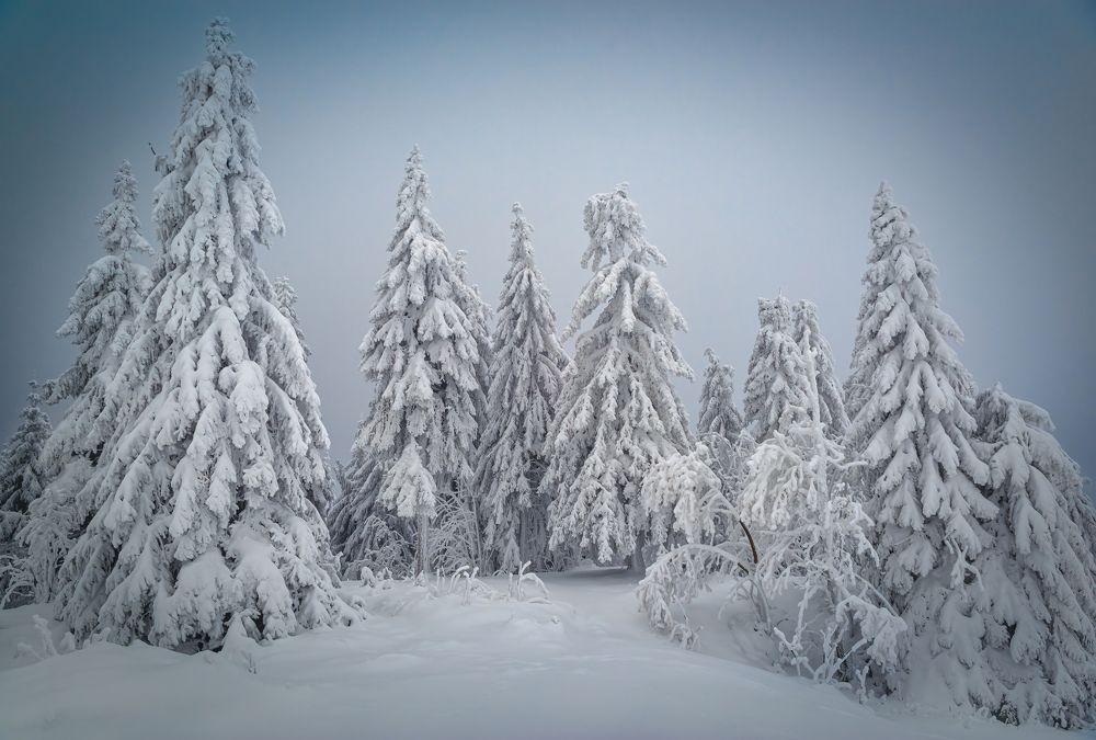 Photograph by Андрей Ожерельев