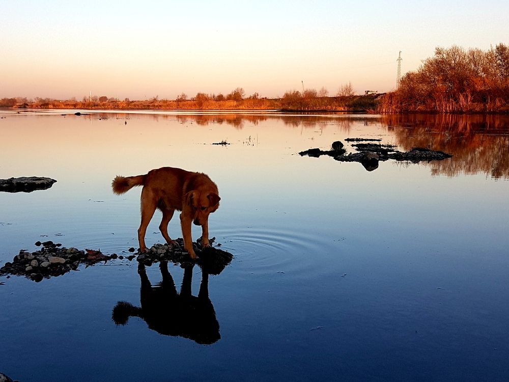 Photograph by Ali Öztürk