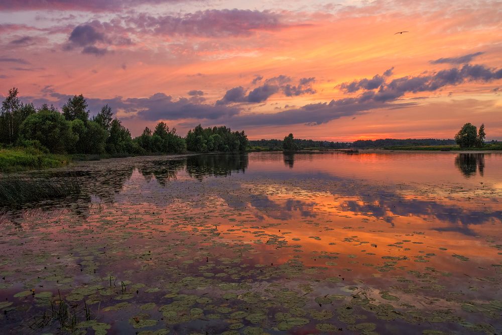 Photograph by Елена Потемина