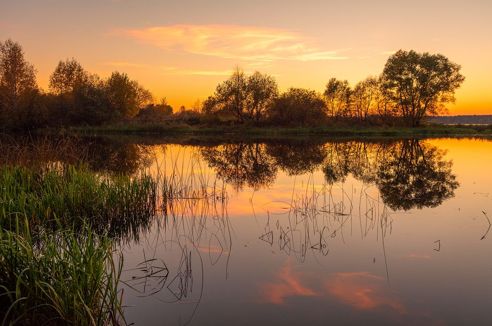 Photograph by Елена Потемина