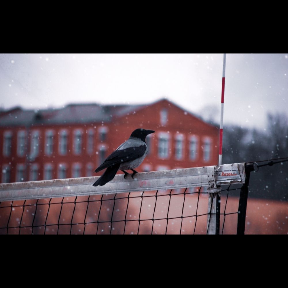Photograph by Денис