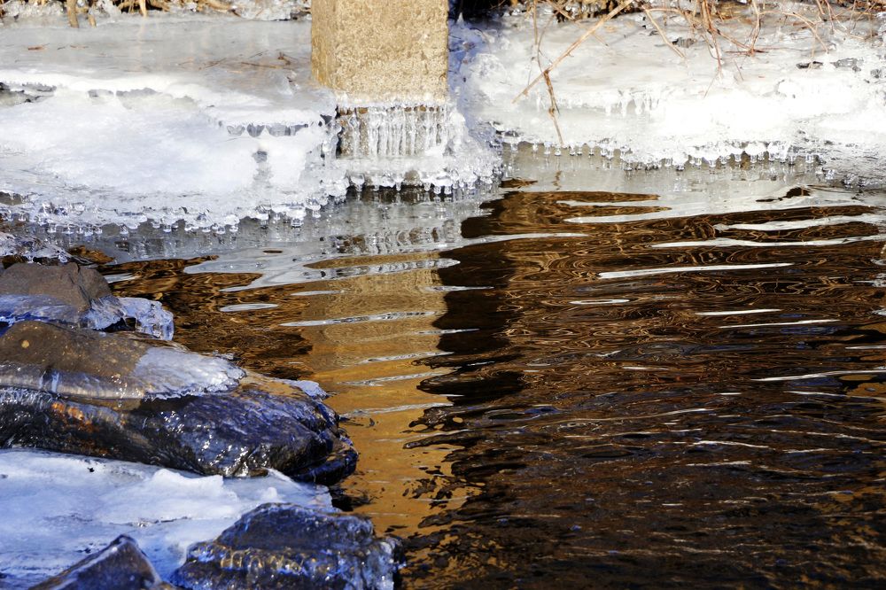 Photograph by Svetlana Victorovna Kibyakova