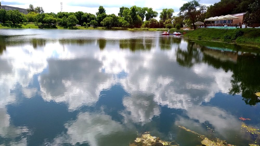 Photograph by Svetlana Victorovna Kibyakova