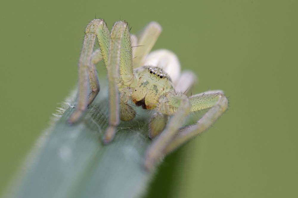 Photograph by Юрій Стороженко