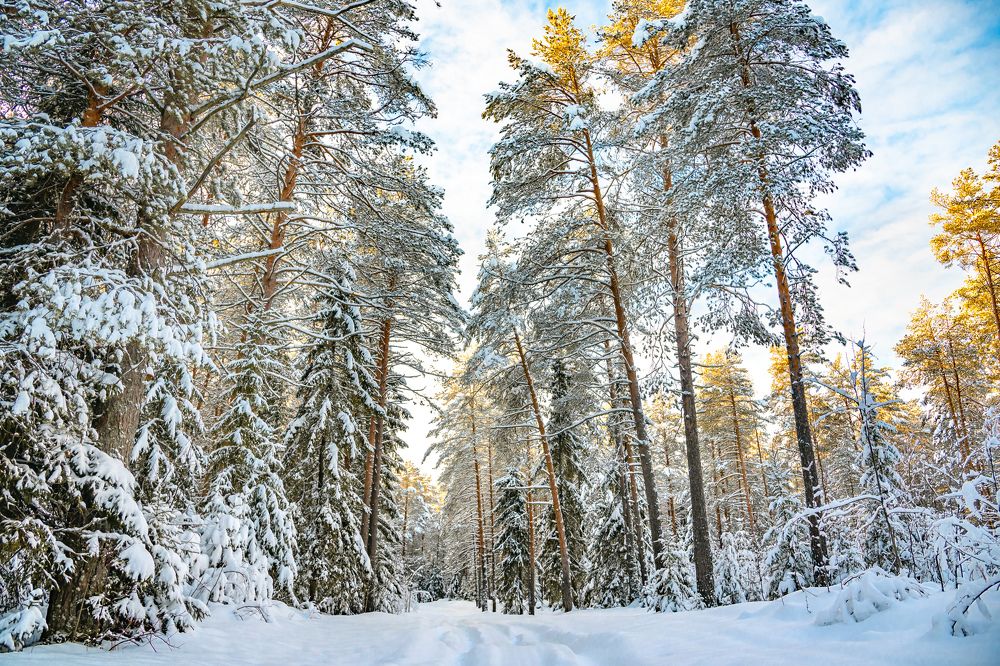 Photograph by Юрий Киреичев