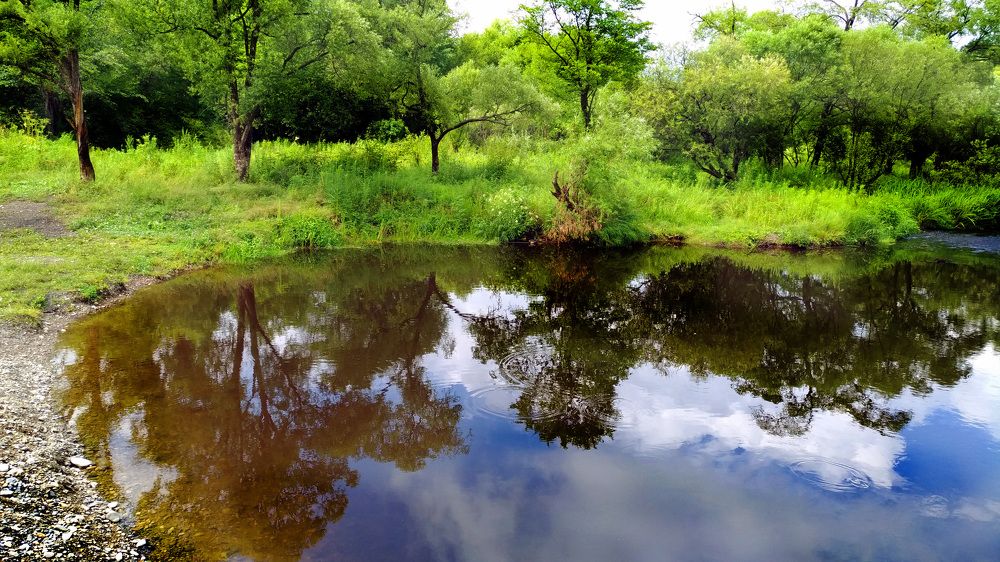 Photograph by Svetlana Victorovna Kibyakova