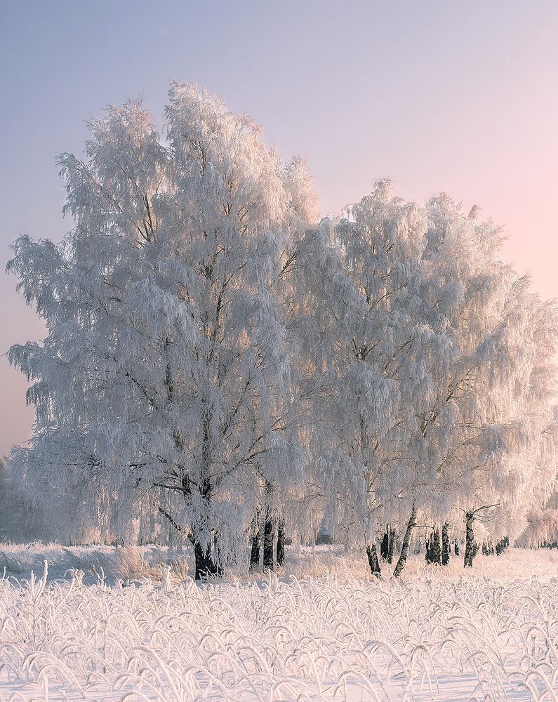 Photograph by Елена Потемина