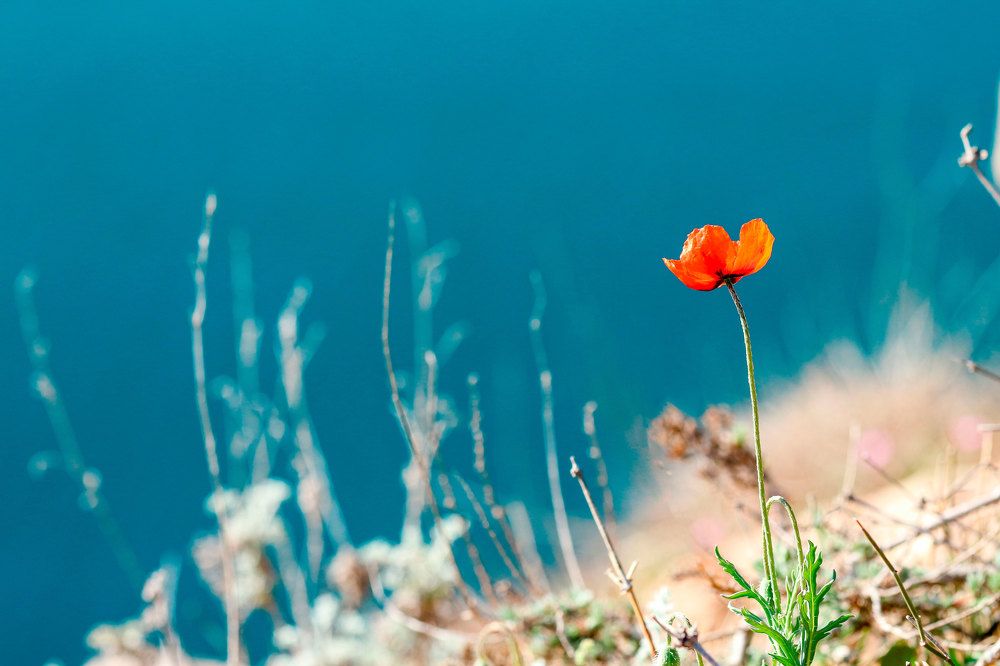 Photograph by Anastasia Biryukova