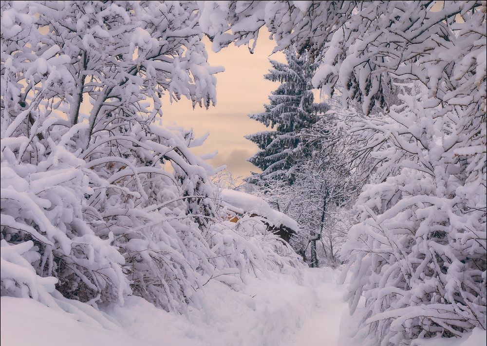 Photograph by Елена Потемина