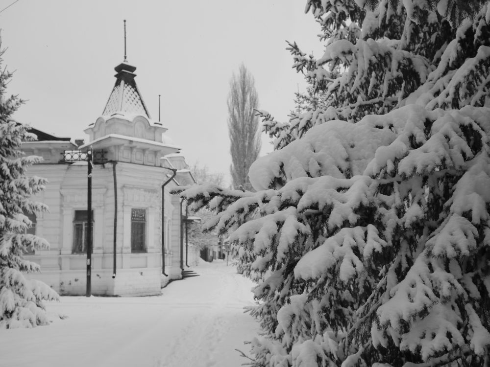 Photograph by Григорий