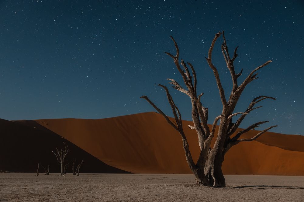 Photograph by Александр Ипполитов