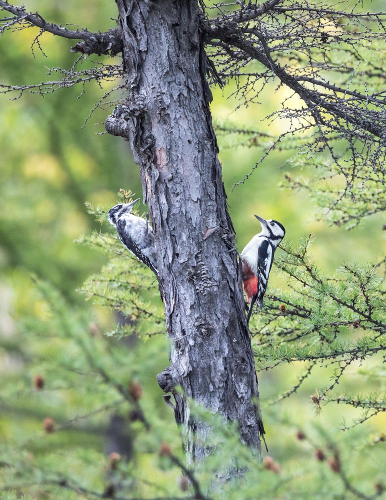 Photograph by Надежда Хаустова