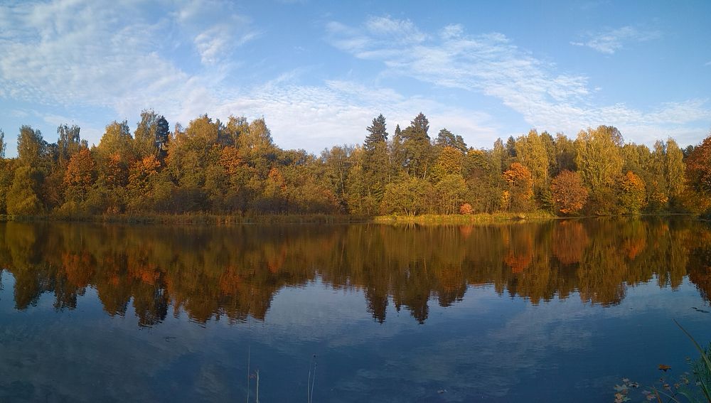 Photograph by Елена Щитова