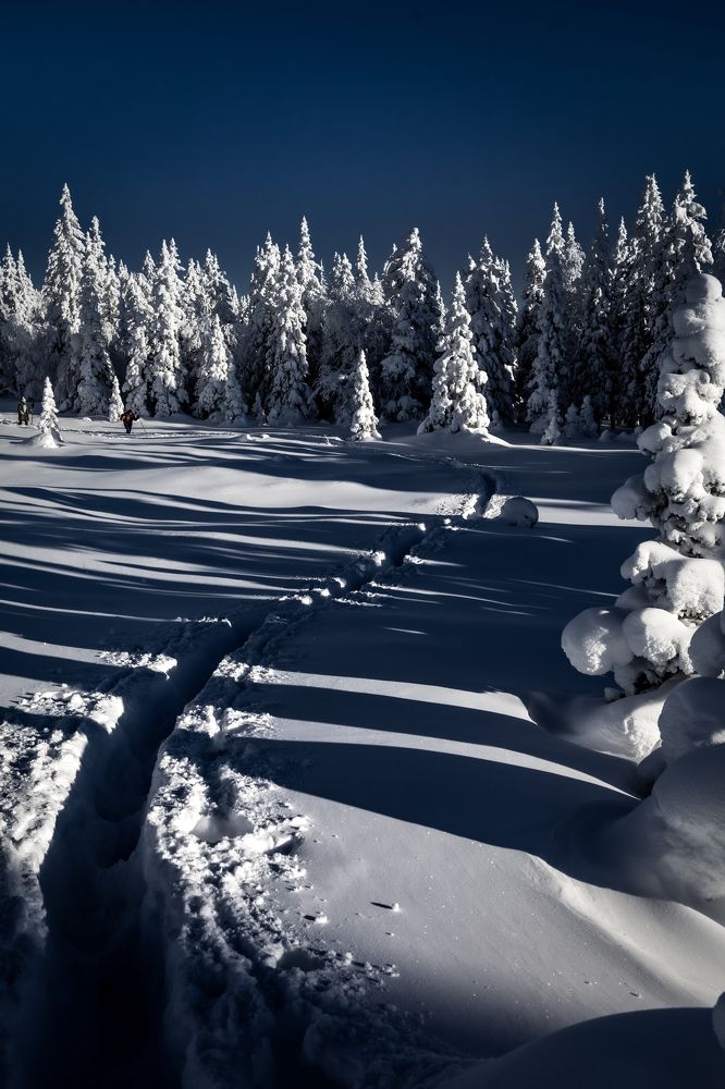 Photograph by Могилевич Elena