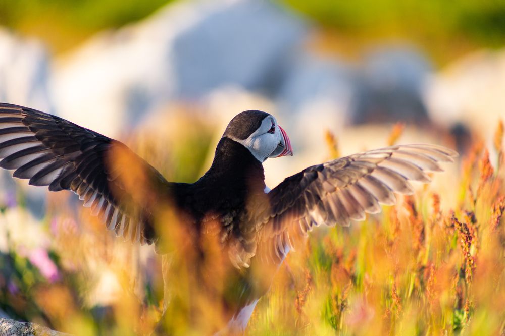 Photograph by Могилевич Elena