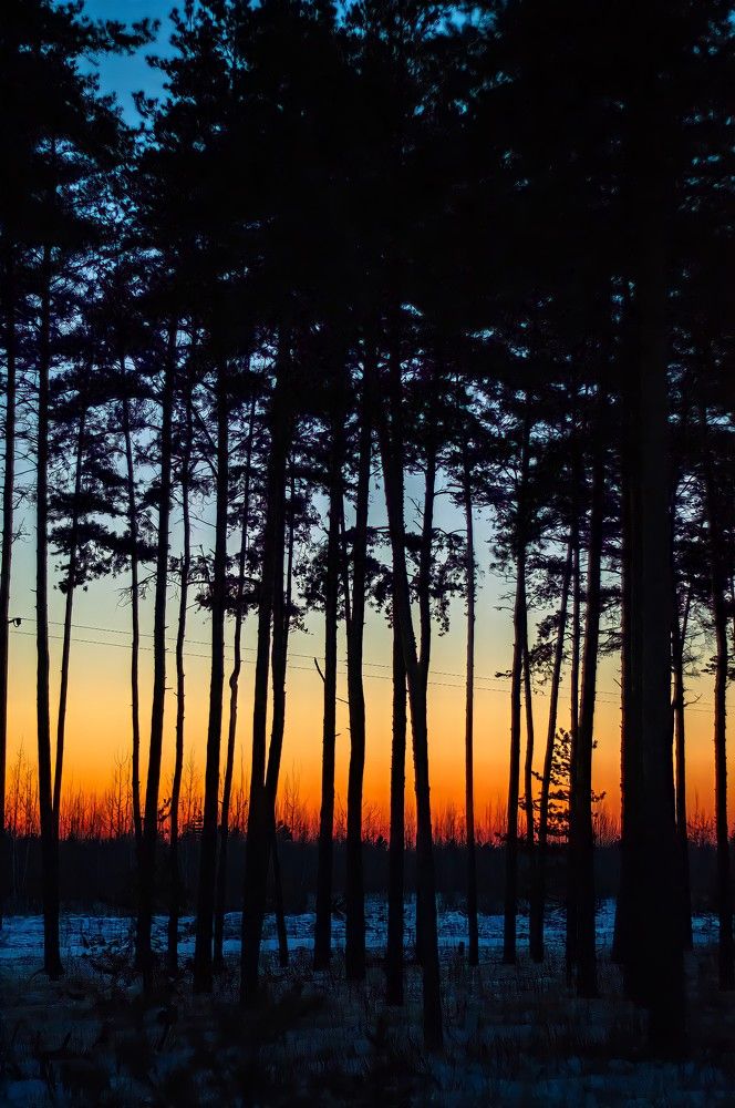 Photograph by Михаил Пасынков