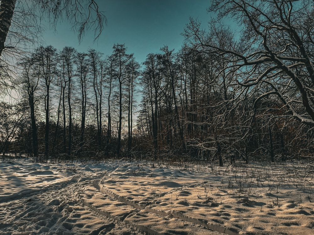 Photograph by Михаил Пасынков