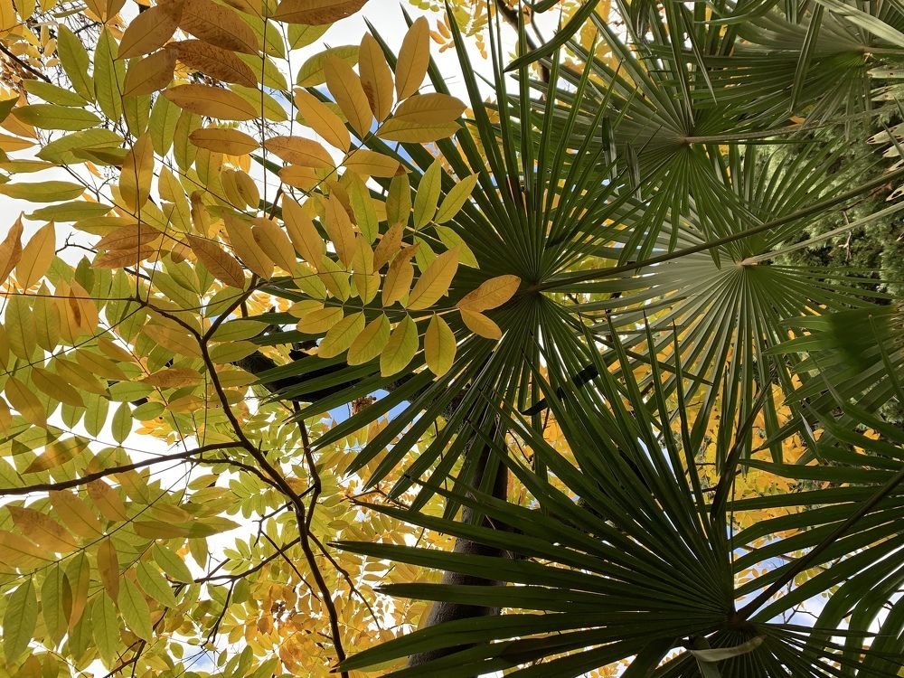 Photograph by Александра Тимошенко