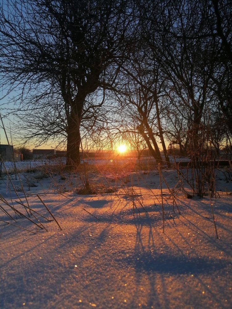 Photograph by Лиана Ратия