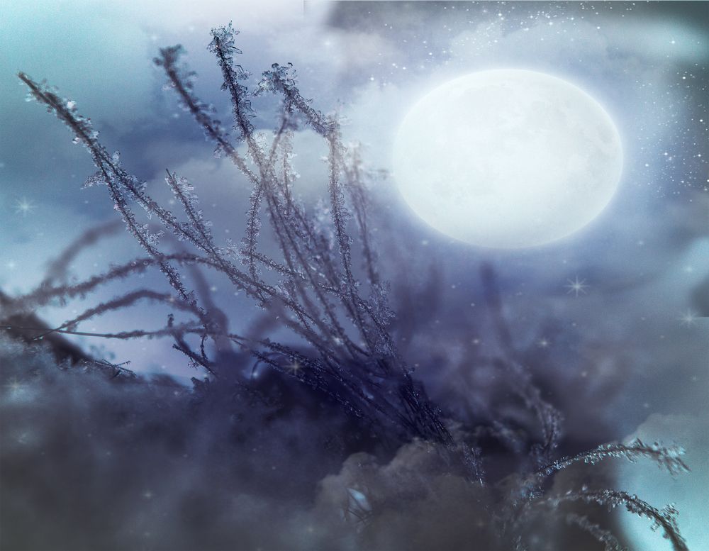 Лунная соната.