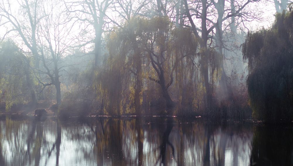 Photograph by Полина Килат