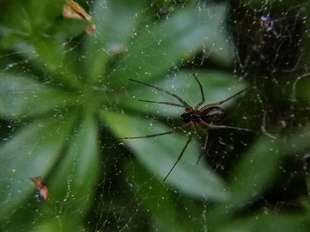 Photograph by Екатерина Чижевская