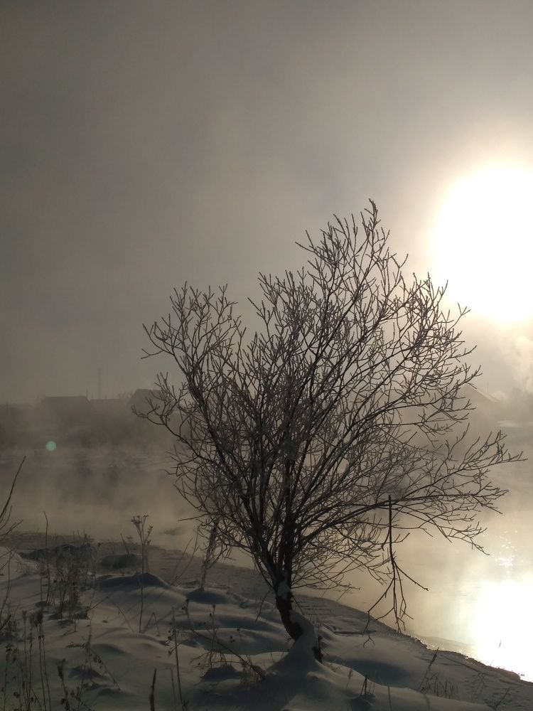 Photo #7004253